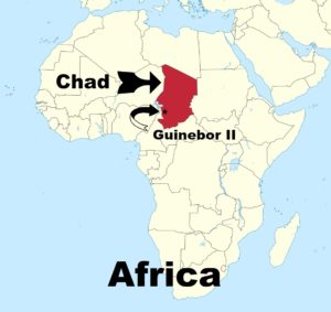 Chad & Guinebor II in Africa